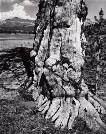 ANSEL ADAMS (1902-1984) Tuolumne Meadows, Yosemite National Park, from Portfolio Four "What Majestic Word." 1941; printed 1963.                  